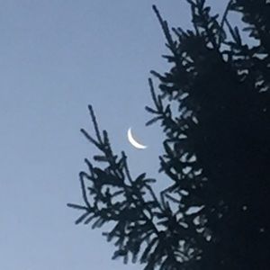 Meet your Posher, Trini